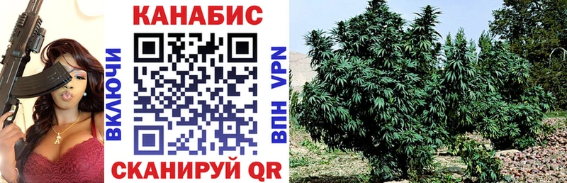 Названия наркотиков Салаир Амфетамин  Меф  Alpha PVP  ГАШИШ  Cocaine  Конопля 